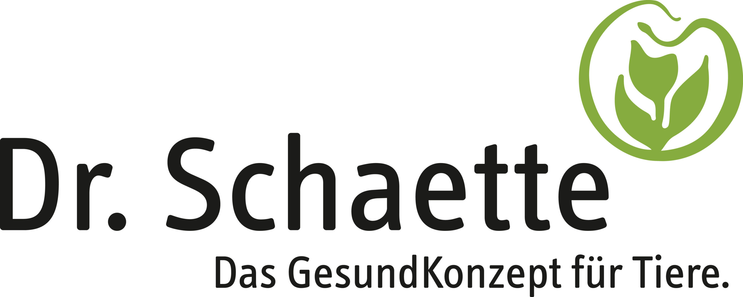 Dr.Schaette mit Claim
